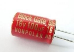 black-gate-4-rubycon-capacitor