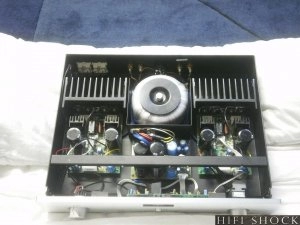 220cu-1-cayin