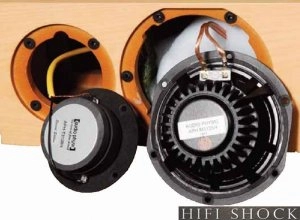 tempo-vi-1-audio-physic