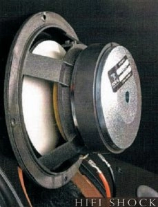 profile-918-4-focal