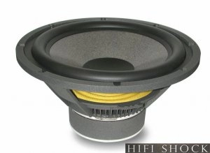 profile-918-5-focal