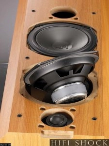 vardus-vr-300-4-wharfedale